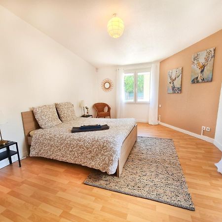 Le Zola - Appartement Spacieux - Γκρενόμπλ Εξωτερικό φωτογραφία