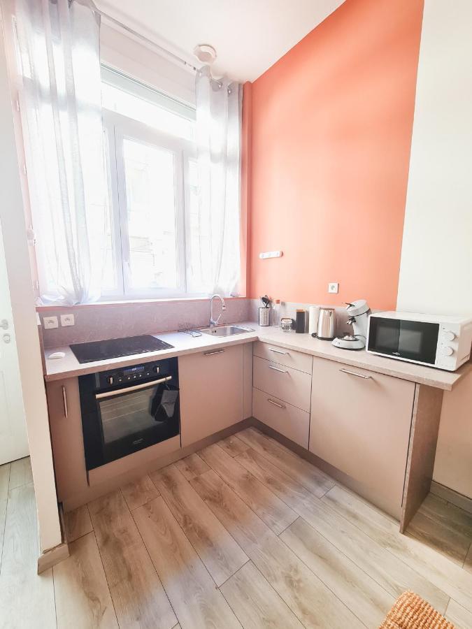 Le Zola - Appartement Spacieux - Γκρενόμπλ Εξωτερικό φωτογραφία